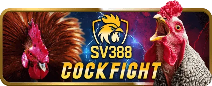 Biểu đồ tăng trưởng với các con số tỷ lệ cược, tượng trưng cho tỷ lệ cược hấp dẫn và lợi nhuận cao tại u888vip1 chính thức